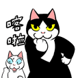賓士貓Ohagi 8