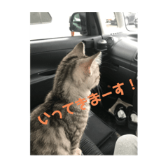 miki_20210930213244