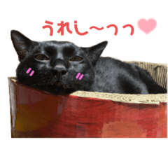 arisa_20211002212042