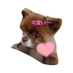 suzu_20211003121236