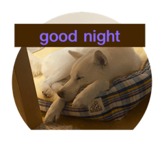 yokko_20210930212556