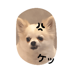 saya_20210930233620