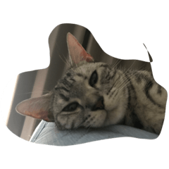 necomimi22