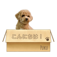 Puku_20210930235759