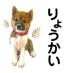PonZu_20211001002254