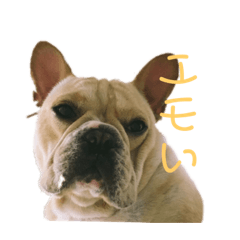 arisa_20211001000036