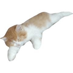 mugitoro