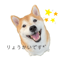 suzu_20211003154338