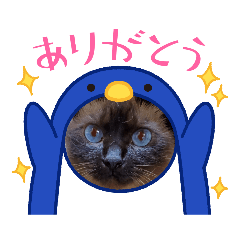 himawari_20211003163213