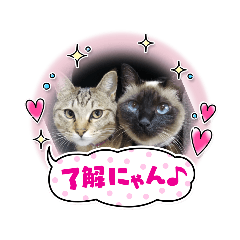 himawari_20211003165659