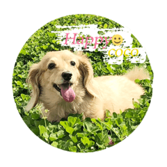 Ayumi_20211003172207