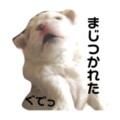 Hoshi no Kodomo tachi