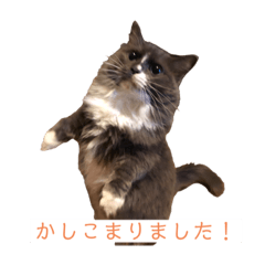 Akiko_20211001165214