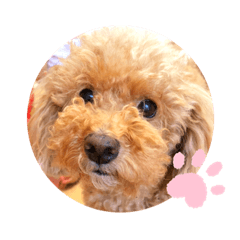 Yuina_20211001213341