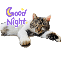 mizuki_20211001205408