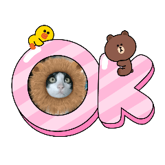 chris_20211002113743