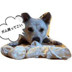 hana_20210930192348
