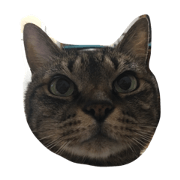 choki choki