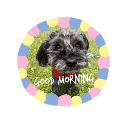 Mizuki_20210930202100