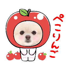 Pomeranian Hime sticker 2021.10