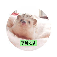 jack_20211001222502