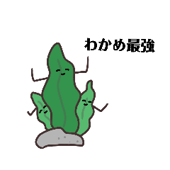 wakameSTAMP.