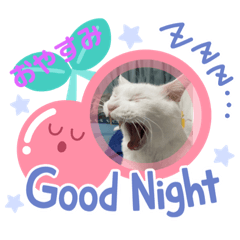 RINGO_20211003185916