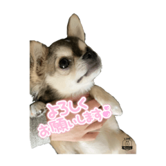 qzvkq_20211003221546