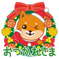Shiba dog "MUSASHI" 16 Christmas