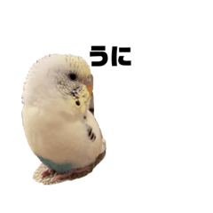 naff No.7_20211003230250