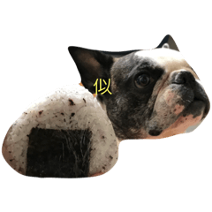 ブシュブシュブシュ 3