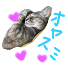 kchan_20211002001746