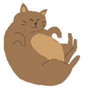 Obese cat!