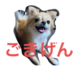 takuya_20211002000326