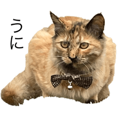 ayumi_20211002024121