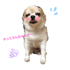 yuina_20211002084329