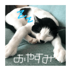 saya_20211002083200