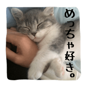 Nyanmaru!! Nyanmaru!!