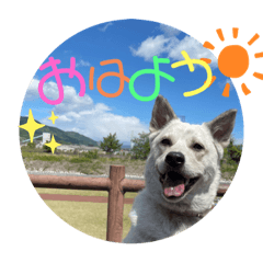 hana_20211003224349