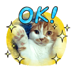 kazuki_20211004081419