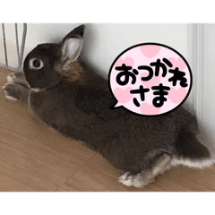 Himawari_20211003204507