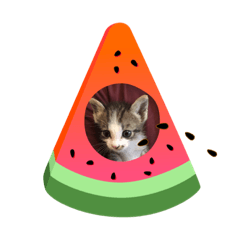 Sticker MoRu1