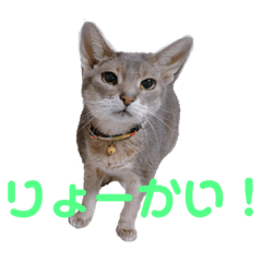 miki_20211002125259