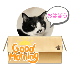 aoi_20211004122240