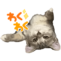 miki_20211002183051
