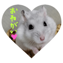 masakichi_20211002191636