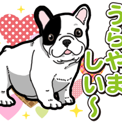 Wanko-Biyori Puppy of French Bulldog 2