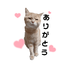 Mizuki_20211004124919