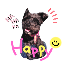 Mizuki_20211004135449