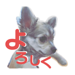 Chan_20211002213158